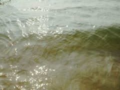 android_upload_pic-巽寮湾