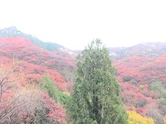 -石门坊