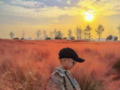 -汉长安城未央宫国家考古遗址公园