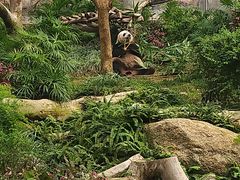 -石排湾郊野公园
