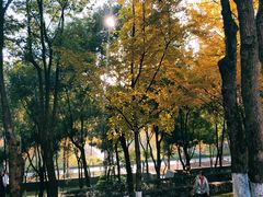 -重庆市江北嘴中央商务区中央公园