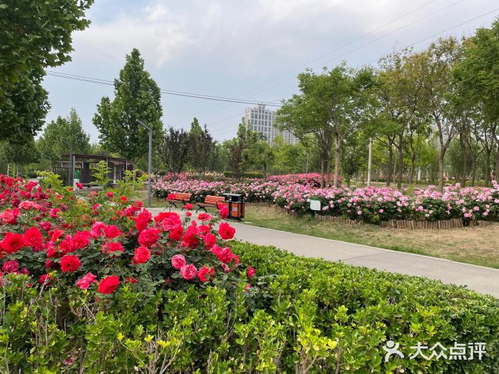 坝河休闲公园图片