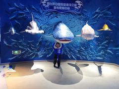 -烟台海昌鲸鲨海洋公园