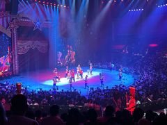 -珠海横琴长隆《卡卡虎奇遇记》