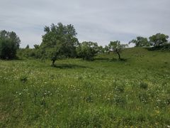 -塞罕坝国家级自然保护区