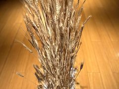 -西村日本料理(香格里拉饭店)