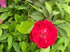 -千龙湖生态旅游度假区