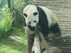 -大连森林动物园