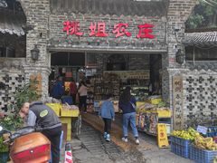 -桃姐农庄老字号(从化温泉店)