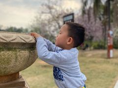 -南国桃园旅游度假区