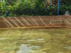 -华侨城阳宗海海景温泉