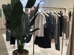 -DAZZLE(金光华店)