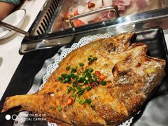 -九府羊·鲜羊火锅·烤串(新华路店)