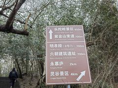 -紫金山山顶公园