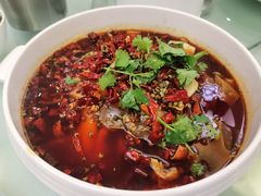 精品毛血旺-成都驻京办餐厅(蜀都宾馆店)