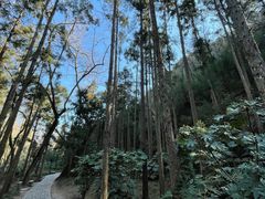 -狼山风景名胜区