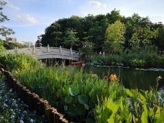 -映月湖公园