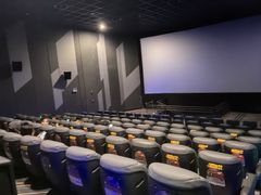 -上海金逸影城(静安大悦城店（原新恒星影城）)
