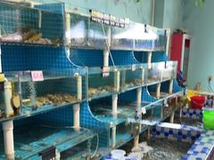 -李哥海鲜烧烤家常菜(孔雀城店)