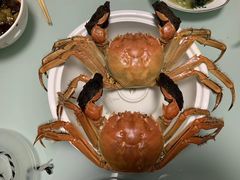 -黄记大闸蟹专卖店·活蟹·醉蟹