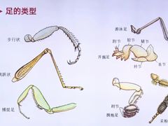 -天津自然博物馆