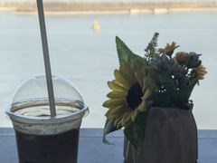海洋之心-抱抱地球咖啡馆(国家海洋博物馆店)