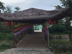 -江门古劳水乡旅游区