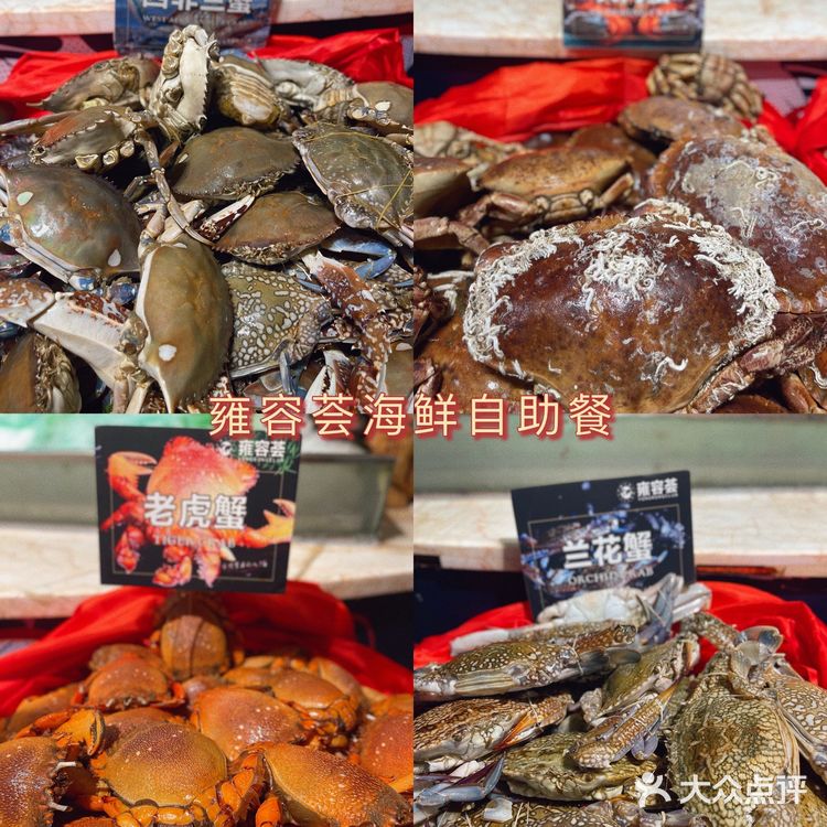 成都最豪华的海鲜自助餐非它莫属❗️