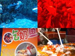 -太平洋海底世界