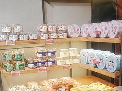 -幸福鸟动物奶油生日蛋糕(军校店)