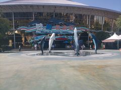 -海合安成都极地海洋公园