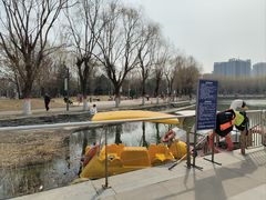 -五环公园