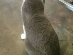 -MIKAKU(万达广场上海宝山店)