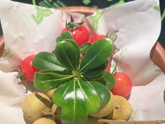 -季季山·云南野生菌火锅(上海首店)