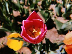 -长春公园(普阳街道)