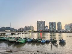 -野狸岛