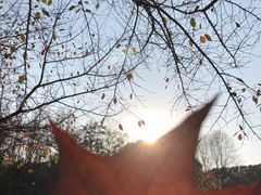 -河南省黄河迎宾馆