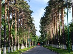 -黑龙江省森林植物园