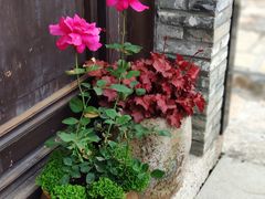 -东台西溪天仙缘景区