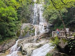 -大鄣山卧龙谷景区