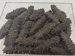 -宫品海参专卖店(黄浦老西门店)