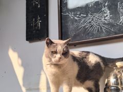 -留荫庐旅馆(南浔古镇百间楼店)