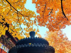 -那家小馆•北京菜•烤鸭(香山店)