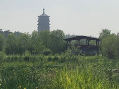 -永定河休闲森林公园