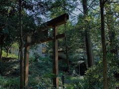 -凤栖山
