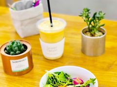 -Green Option(官舍店)
