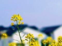 -雅达·阳羡溪山小镇中心