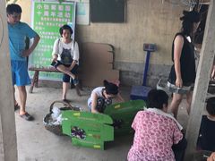 -马陆小张葡萄园农家乐