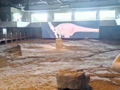 -自贡恐龙博物馆