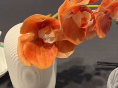 -肆月河豚·新淮扬(金融街店)